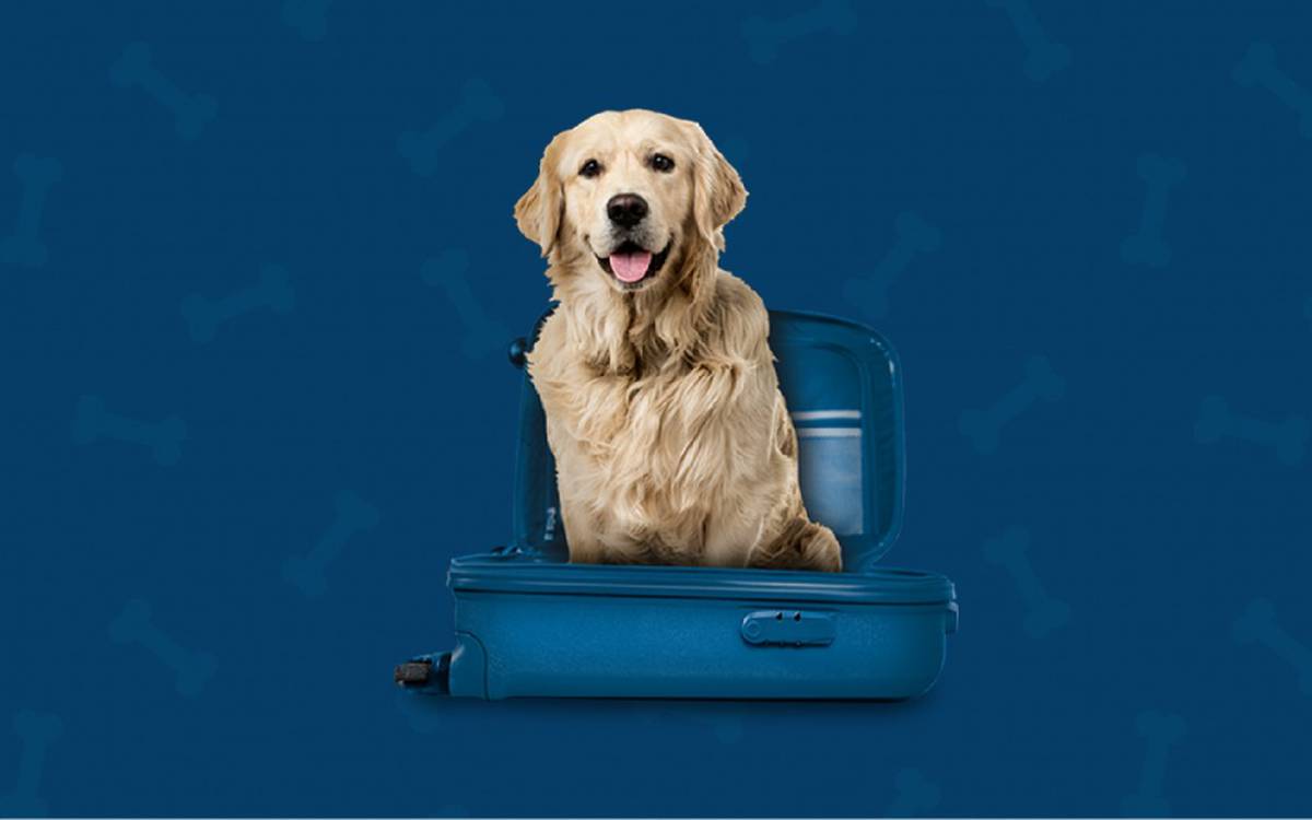 Somos pet friendly Hotel ILUNION Menorca Cala Galdana Somos pet friendly Hotel ILUNION Menorca Cala Galdana