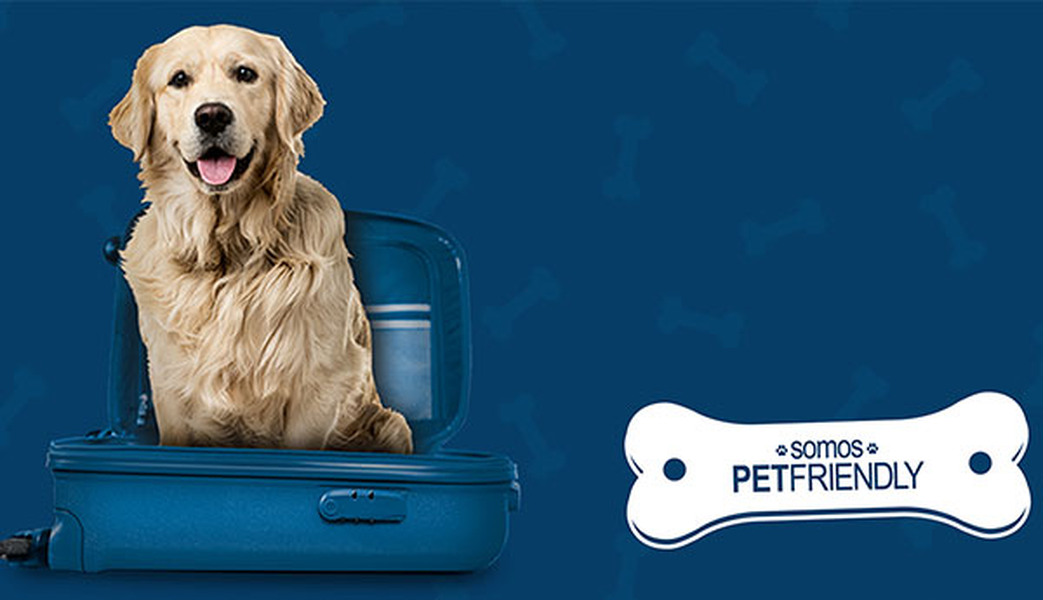 ¿quieres viajar con tu mascota? Hotel ILUNION Menorca Cala Galdana